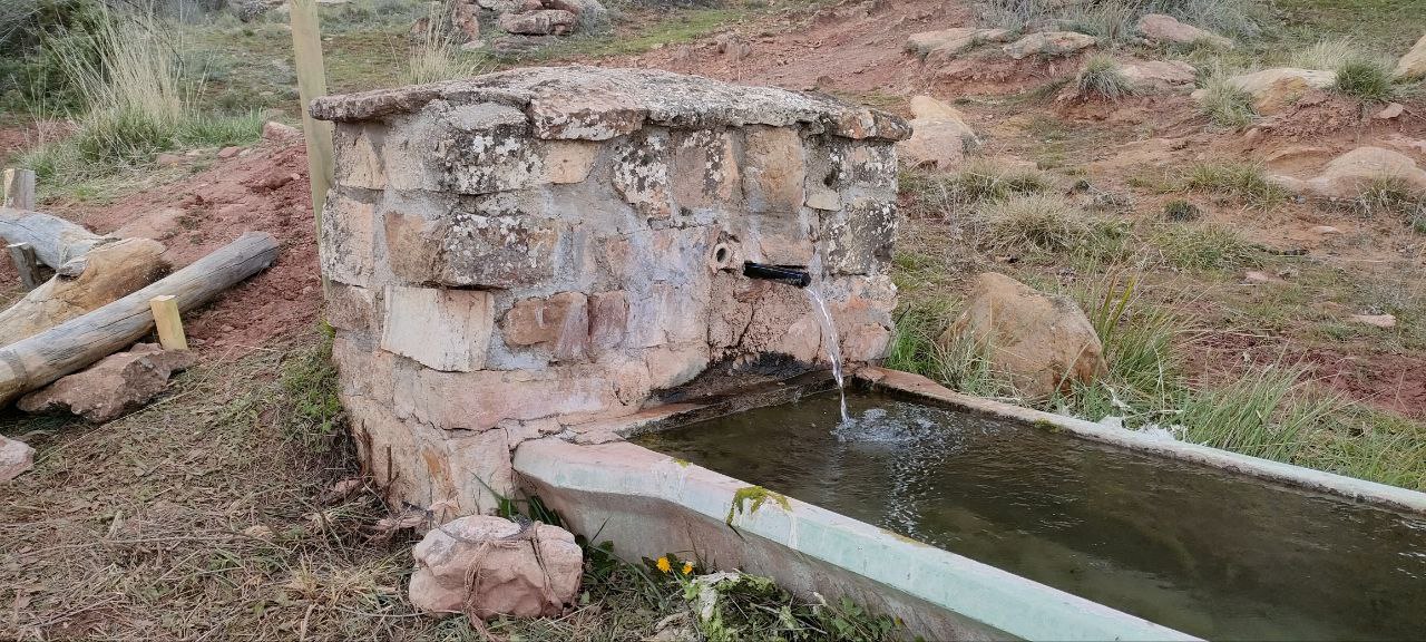 Renovación en la Fuente de La Pinilla: Voluntarios Unidos para Restaurar un Tesoro de Alcolea del Pinar