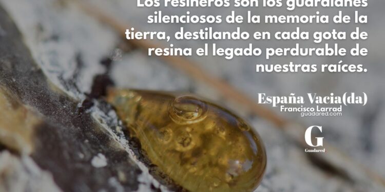 Los resineros de la Comarca de Molina de Aragón