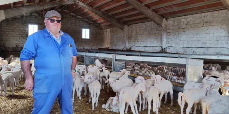 Valentin Ganadero en Molina de Aragon La lucha silenciosa del campo español