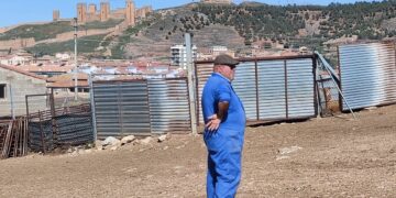 Valentín, el guardián de las ovejas: Un testimonio de resistencia y esperanza.