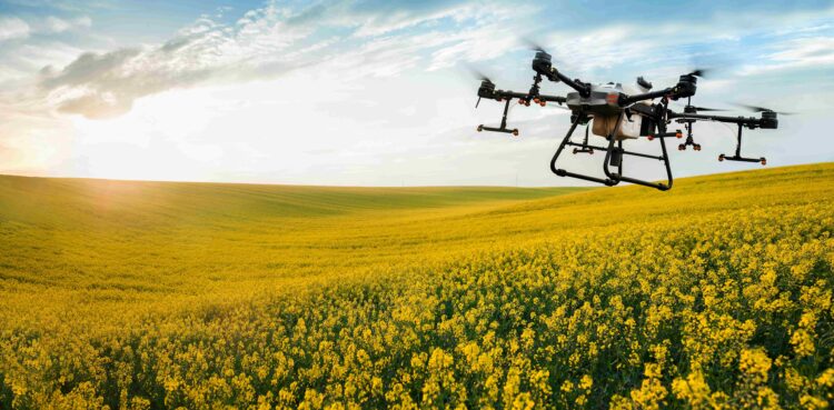 Tecnología para la innovación del mundo rural: Carlos Rodolfo Bertta Osores impulsa la sostenibilidad agrícola con drones