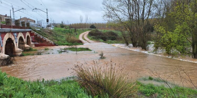 Inundaciones y desbordamientos por lluvias en distintos puntos de la provincia de Guadalajara: Impacto en la agricultura
