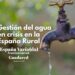Gestión del agua en crisis en la España Rural