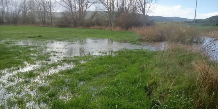 Inundaciones y desbordamientos por lluvias en distintos puntos de la provincia de Guadalajara: Impacto en la agricultura