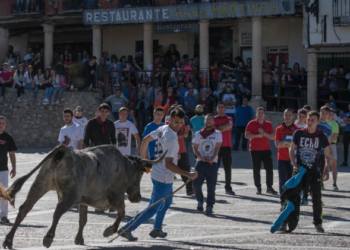 Celebrando Tradiciones: Historia y Actualidad de la Fiesta Taurina en Cogolludo, Guadalajara