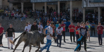 Celebrando Tradiciones: Historia y Actualidad de la Fiesta Taurina en Cogolludo, Guadalajara