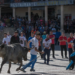 Celebrando Tradiciones: Historia y Actualidad de la Fiesta Taurina en Cogolludo, Guadalajara