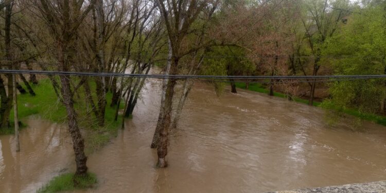 Inundaciones y desbordamientos por lluvias en distintos puntos de la provincia de Guadalajara: Impacto en la agricultura