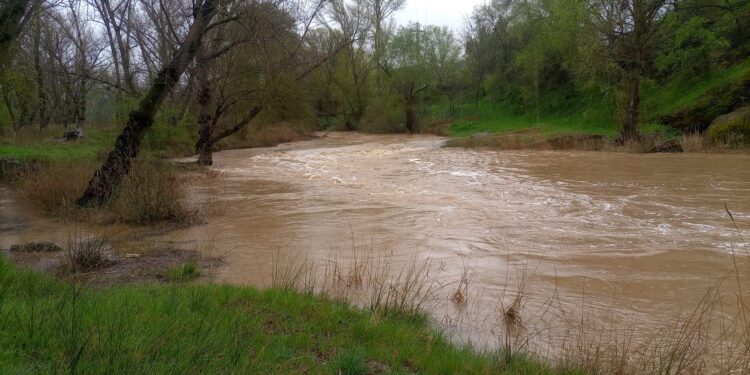 Inundaciones y desbordamientos por lluvias en distintos puntos de la provincia de Guadalajara: Impacto en la agricultura