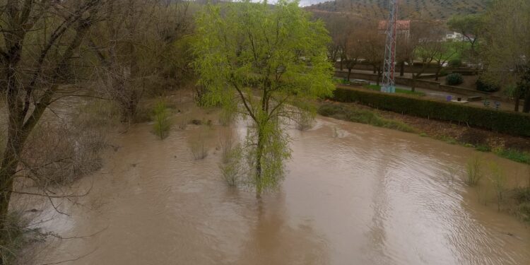 Inundaciones y desbordamientos por lluvias en distintos puntos de la provincia de Guadalajara: Impacto en la agricultura