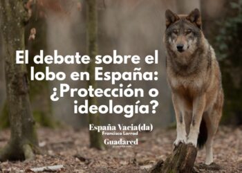 el debate del lobo en España