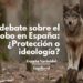 el debate del lobo en España