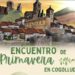 Encuentro de Primavera en Cogolludo: ¡Descubre el Mercadillo de Productos Locales y Talleres de Naturaleza!