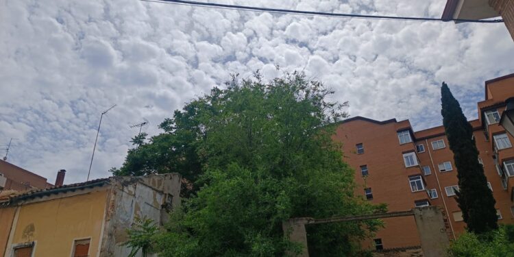 Guadalajara: Obligación de Mantener Solares Urbanos Limpios y Seguros – Ayuntamiento Advierte Sanciones