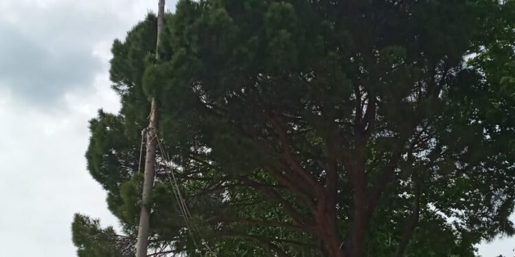 II Fiesta del Folclore Provincial de Guadalajara