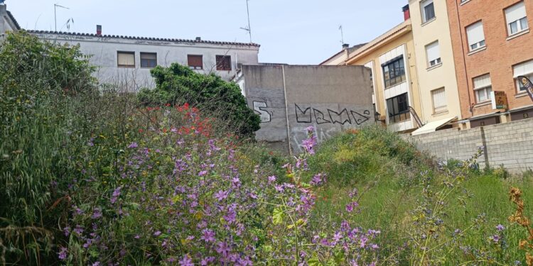 Guadalajara: Obligación de Mantener Solares Urbanos Limpios y Seguros – Ayuntamiento Advierte Sanciones