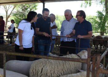 Diputación de Guadalajara y SAT-COAGRAL Impulsan la Comercialización de Productos Agroalimentarios en 2024