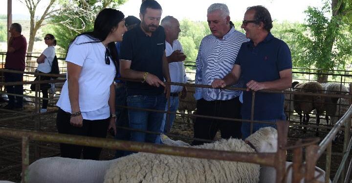 Diputación de Guadalajara y SAT-COAGRAL Impulsan la Comercialización de Productos Agroalimentarios en 2024