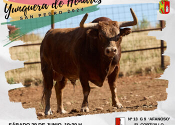 Encierro por las Calles en Yunquera de Henares: “Afanoso” de El Cortijillo, Protagonista en Fiestas de San Pedro 2024