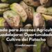 Jornada para Jóvenes Agricultores en Guadalajara: Oportunidades del Cultivo del Pistacho