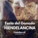 XXXVIII Feria del Ganado en Hiendelaencina: Actividades, Demostraciones y Degustaciones