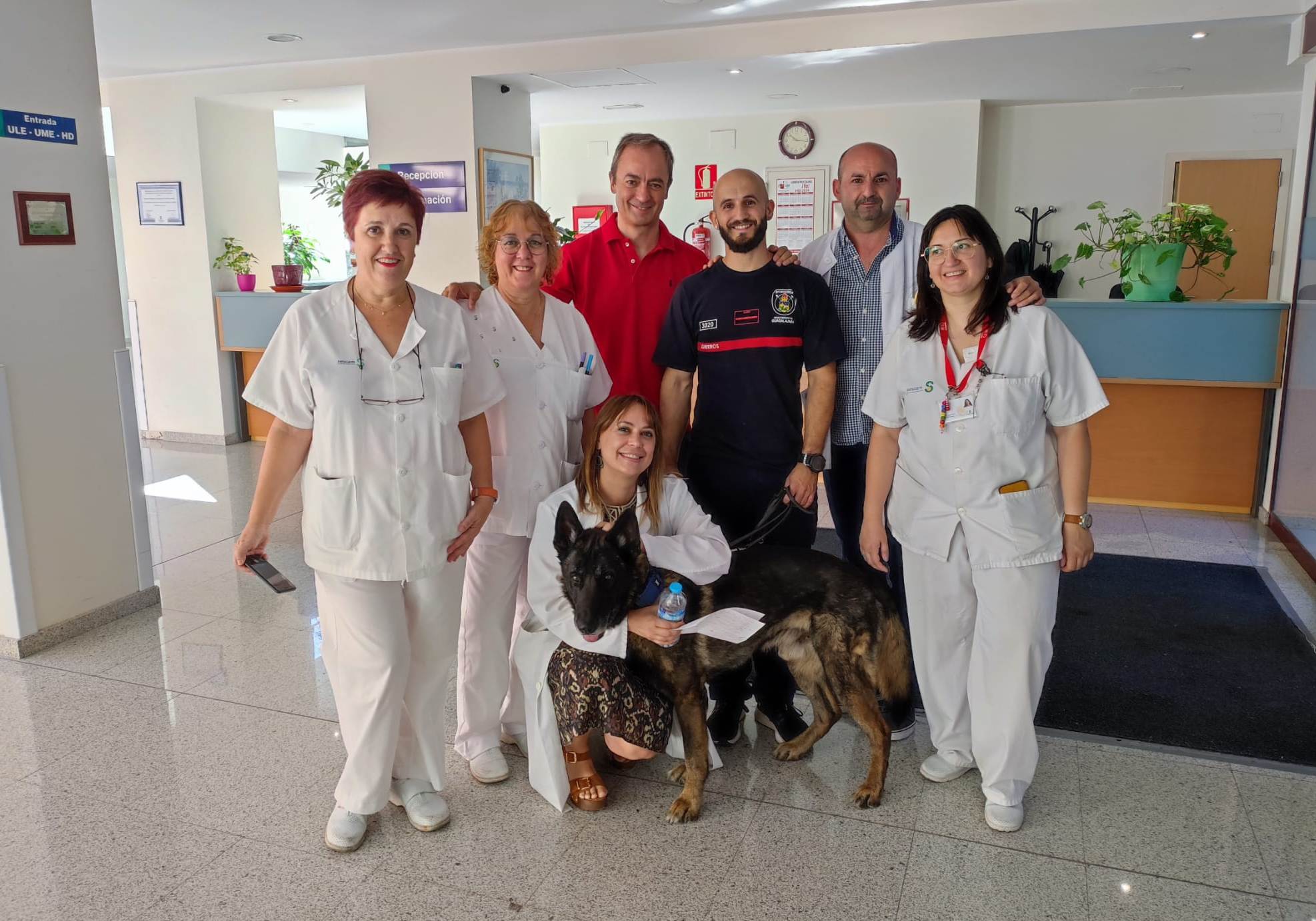 Pacientes del Instituto de Enfermedades Neurológicas Mejoran su Salud Emocional con Perros de Rescate