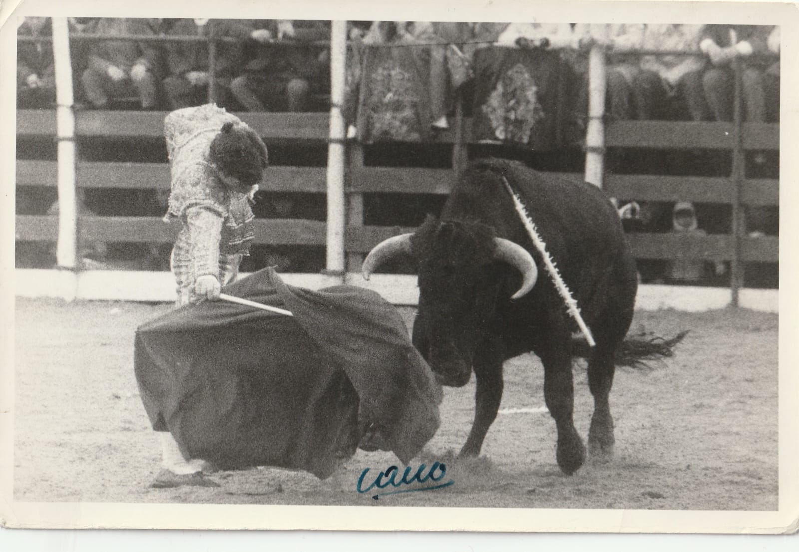 Debut de Rubén Vara y Homenaje a Isidro Sánchez "El Labrador" en La Puerta