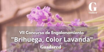 Concurso de Engalanamiento Brihuega 2024: Embellece con Lavanda y Gana Premios