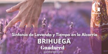 Descubre la Magia de Brihuega: Lavanda, Historia y Belleza en el Corazón de la Alcarria