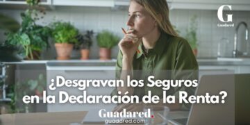 ¿Desgravan los Seguros en la Declaración de la Renta? Descubre Cómo Optimizar tus Deducciones con Gamo & Santos | Agencia AXA Guadalajara