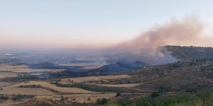 Incendio en Taracena: Trabajos de Extinción en Terrenos Agrícolas de Guadalajara