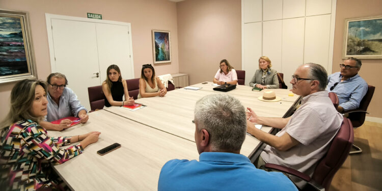 Impacto de las Fotovoltaicas en Guadalajara: APAG solicita moratoria y regulación urgente