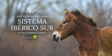 Estreno del Documental 'Un Nuevo Aliento para el Sistema Ibérico Sur' Dirigido por Emmanuel Rondeau