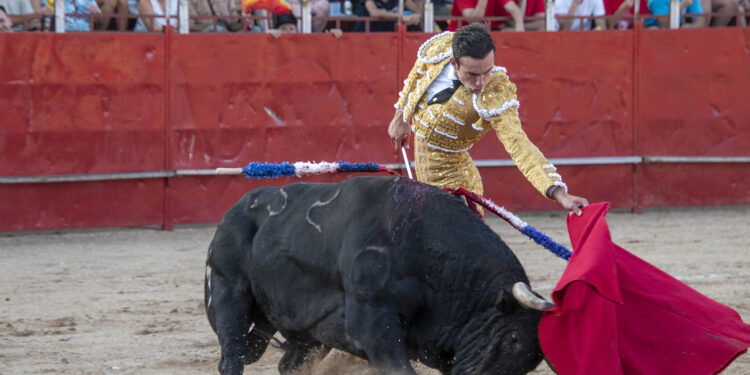 Fiestas de Agosto 2024 de Marchamalo: Seis Días de Celebraciones con Gran Afluencia y Variedad de Eventos
