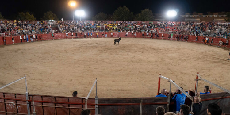 Fiestas de Agosto 2024 de Marchamalo: Seis Días de Celebraciones con Gran Afluencia y Variedad de Eventos