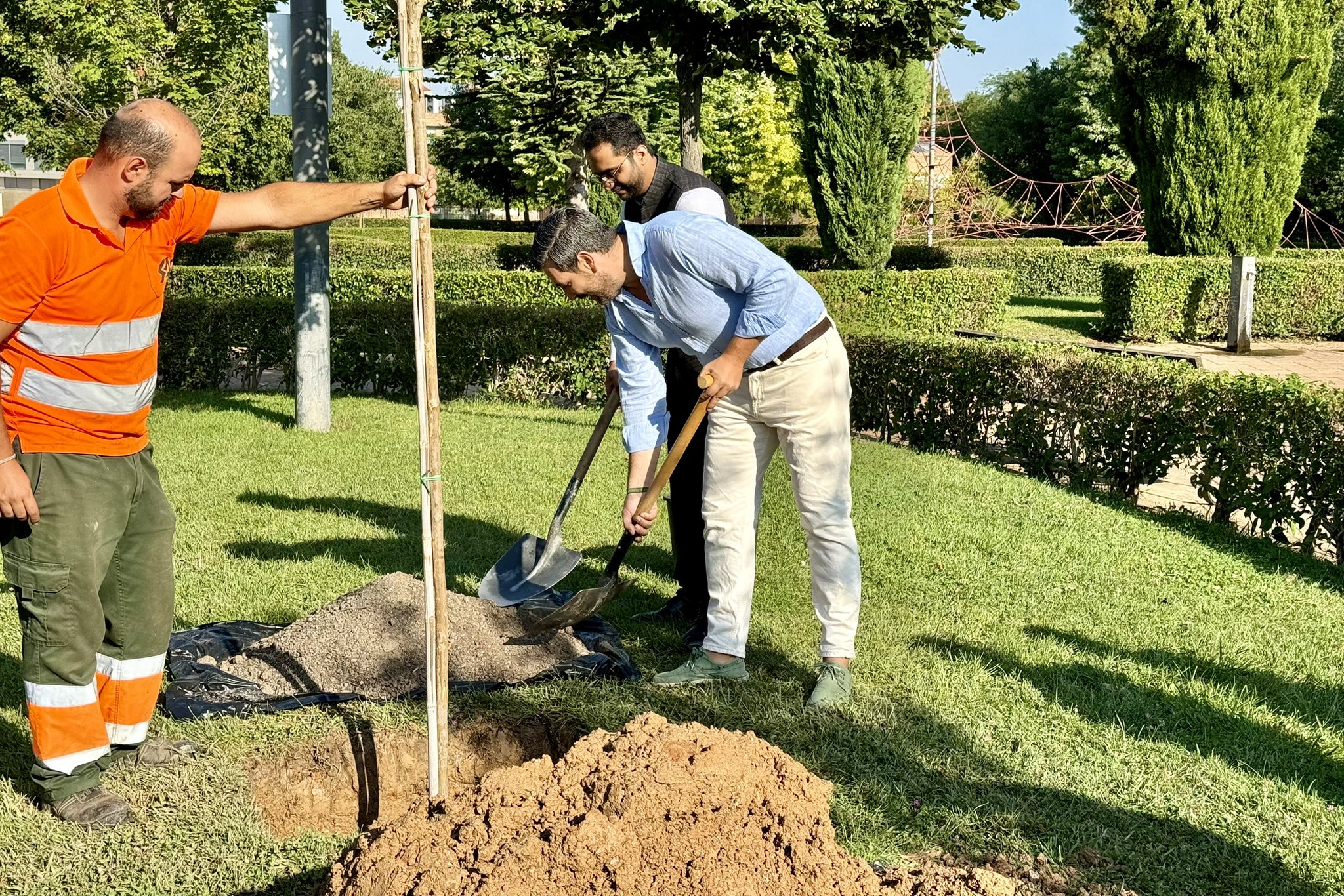 Guadalajara se Une a la Campaña Internacional #Plant4Mother con la Plantación de un Árbol Júpiter en el Parque Adoratrices