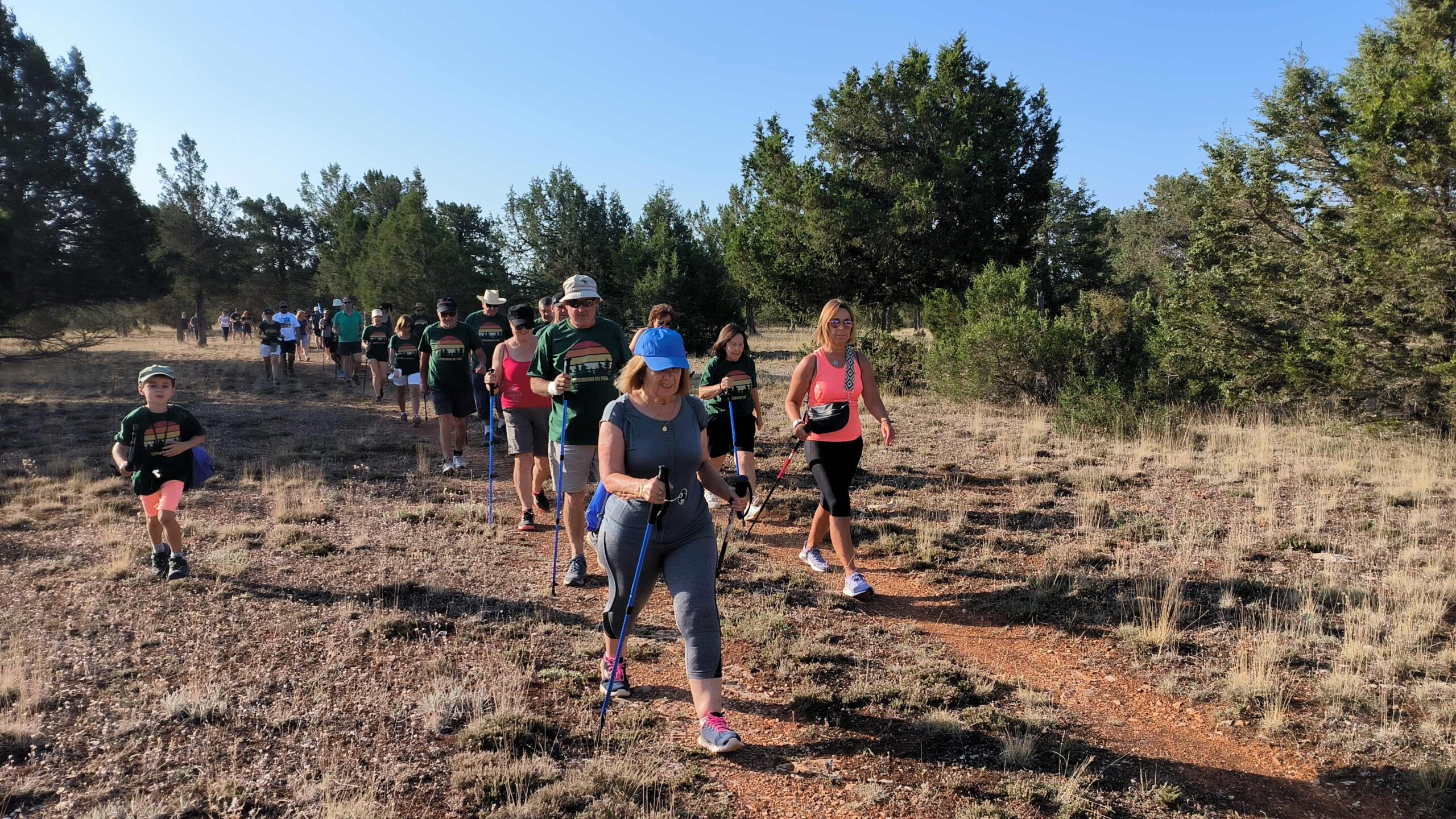 Nueva Ruta del Programa '7000PasosX' en Torremocha del Pinar: Fomento del Ocio Saludable en Castilla-La Mancha