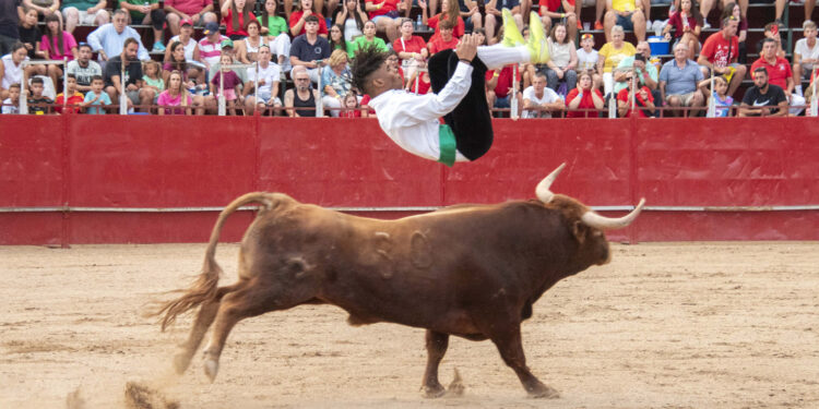 Fiestas de Agosto 2024 de Marchamalo: Seis Días de Celebraciones con Gran Afluencia y Variedad de Eventos