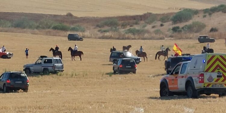 Fiestas de Torrejón del Rey 2024: Éxito en Actividades, Solidaridad y Presupuesto Reducido