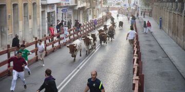 Rápido y limpio primer encierro de las Ferias y Fiestas de Guadalajara 2024 con un herido grave en la suelta de reses