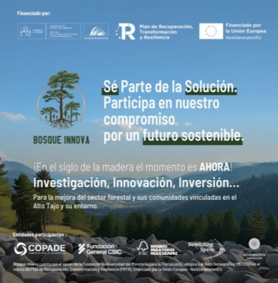 Bosque Innova: Proyecto para Reactivar Economía y Crear Empleo Verde en Alto Tajo y Serranía Alta de Cuenca