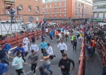 Accidentado Cuarto Encierro de las Ferias y Fiestas de Guadalajara 2024: Heridos y Valoración Positiva de la Alcaldesa