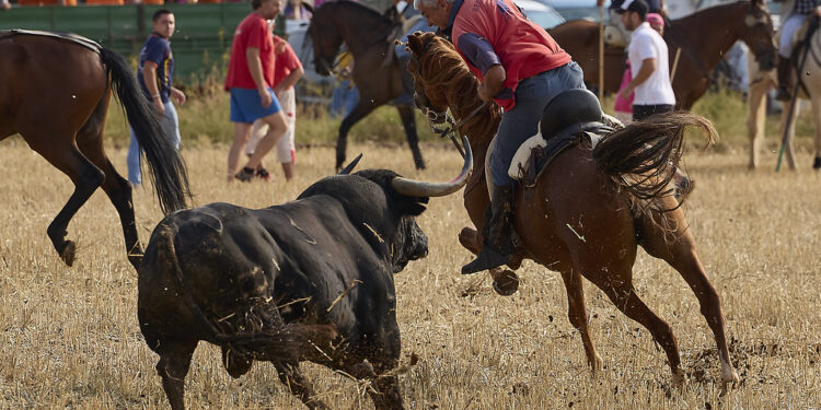 Encierros 2024 en Yunquera de Henares: Emoción y Tradición sin Incidentes
