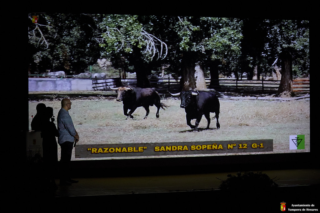 Feria Taurina Yunquera de Henares 2024