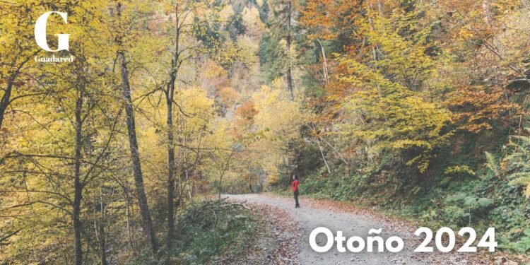 Otoño 2024 en España: Aemet Predice Temperaturas Más Altas y Menos Lluvias