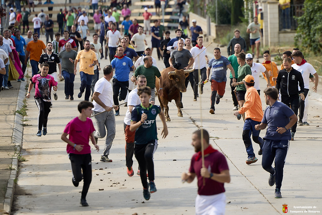 Encierros 2024 en Yunquera de Henares: Emoción y Tradición sin Incidentes