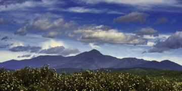 ADEL Sierra Norte invertirá casi 1,5 millones de euros en la Sierra Norte para impulsar empresas, agroindustria y seguridad