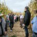 El Día de Campo 2024 anticipa una excelente cosecha de maíz en la zona regable del Bornova