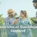 Descubre el Enoturismo en Guadalajara: Las Mejores Bodegas para Disfrutar del Vino y la Gastronomía Local