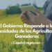 El Consejo de Ministros aprueba cambios en la PAC para beneficiar a agricultores y ganaderos